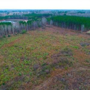Photo of REDUCED!  18.7 Acres of Residential Land for Sale in Nash County NC!