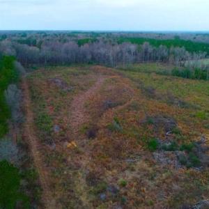 Photo of REDUCED!  18.7 Acres of Residential Land for Sale in Nash County NC!