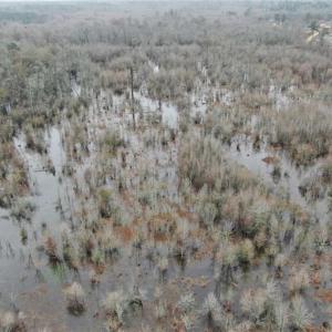 Photo of SOLD!!  20 Acres of Hunting Land For Sale in Robeson County NC!