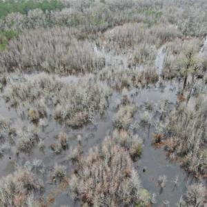 Photo of SOLD!!  20 Acres of Hunting Land For Sale in Robeson County NC!