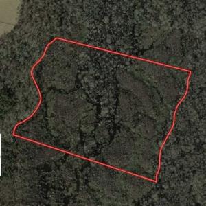 Photo of SOLD!!  20 Acres of Hunting Land For Sale in Robeson County NC!