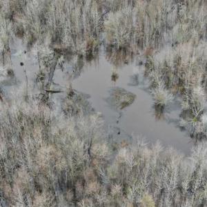 Photo of SOLD!!  20 Acres of Hunting Land For Sale in Robeson County NC!