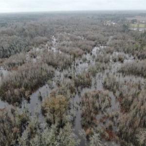 Photo of SOLD!!  20 Acres of Hunting Land For Sale in Robeson County NC!