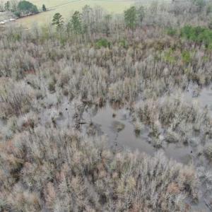 Photo of SOLD!!  20 Acres of Hunting Land For Sale in Robeson County NC!