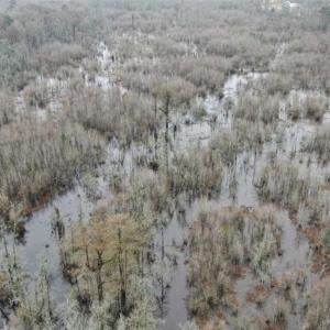 Photo of SOLD!!  20 Acres of Hunting Land For Sale in Robeson County NC!