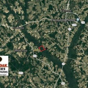 Photo of SOLD!!  125 Acres of Hunting Land For Sale in Robeson County NC!