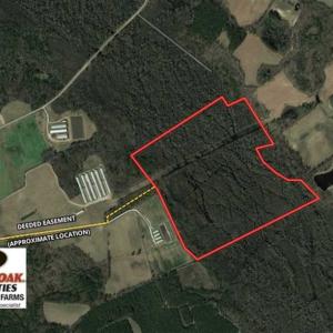 Photo of SOLD!!  125 Acres of Hunting Land For Sale in Robeson County NC!