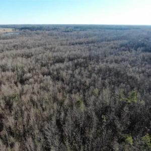 Photo of SOLD!!  125 Acres of Hunting Land For Sale in Robeson County NC!