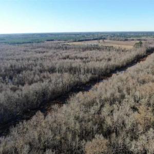 Photo of SOLD!!  125 Acres of Hunting Land For Sale in Robeson County NC!