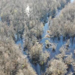 Photo of SOLD!!  125 Acres of Hunting Land For Sale in Robeson County NC!