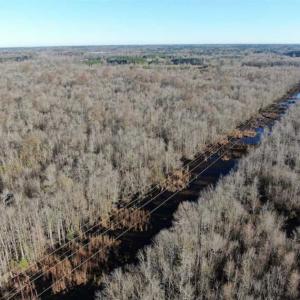 Photo of SOLD!!  125 Acres of Hunting Land For Sale in Robeson County NC!