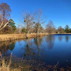 Photo of SOLD!!  27 Acre Marina and Waterfront Land For Sale in Chowan County NC!