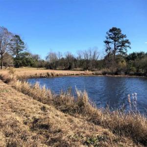 Photo of SOLD!!  27 Acre Marina and Waterfront Land For Sale in Chowan County NC!