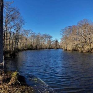 Photo of SOLD!!  27 Acre Marina and Waterfront Land For Sale in Chowan County NC!