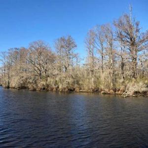 Photo of SOLD!!  27 Acre Marina and Waterfront Land For Sale in Chowan County NC!