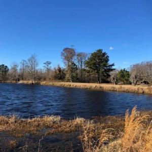 Photo of SOLD!!  27 Acre Marina and Waterfront Land For Sale in Chowan County NC!