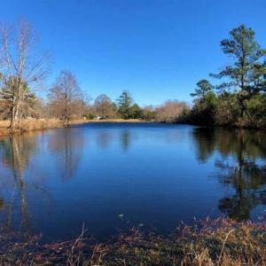Photo of SOLD!!  27 Acre Marina and Waterfront Land For Sale in Chowan County NC!