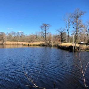 Photo of SOLD!!  27 Acre Marina and Waterfront Land For Sale in Chowan County NC!