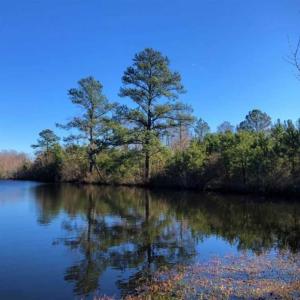 Photo of SOLD!!  27 Acre Marina and Waterfront Land For Sale in Chowan County NC!