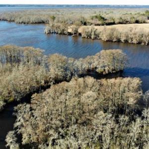Photo of SOLD!!  27 Acre Marina and Waterfront Land For Sale in Chowan County NC!