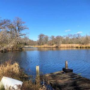 Photo of SOLD!!  27 Acre Marina and Waterfront Land For Sale in Chowan County NC!