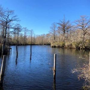Photo of SOLD!!  27 Acre Marina and Waterfront Land For Sale in Chowan County NC!