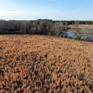 Photo of CLOSED!!  20 Acres of Farm and Hunting Land For Sale in Robeson County NC!