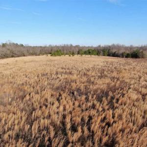 Photo of CLOSED!!  20 Acres of Farm and Hunting Land For Sale in Robeson County NC!