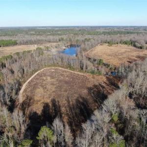 Photo of CLOSED!!  20 Acres of Farm and Hunting Land For Sale in Robeson County NC!