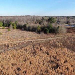 Photo of CLOSED!!  20 Acres of Farm and Hunting Land For Sale in Robeson County NC!