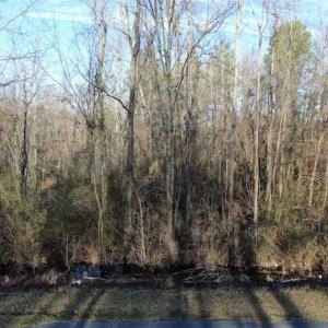 Photo of CLOSED!!  20 Acres of Farm and Hunting Land For Sale in Robeson County NC!