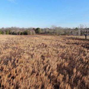 Photo of CLOSED!!  20 Acres of Farm and Hunting Land For Sale in Robeson County NC!