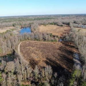 Photo of CLOSED!!  20 Acres of Farm and Hunting Land For Sale in Robeson County NC!