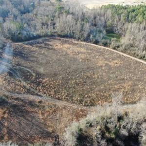 Photo of CLOSED!!  20 Acres of Farm and Hunting Land For Sale in Robeson County NC!