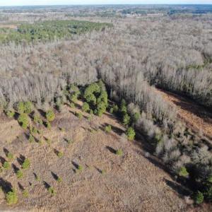 Photo of CLOSED!!  20 Acres of Farm and Hunting Land For Sale in Robeson County NC!