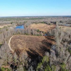 Photo of CLOSED!!  20 Acres of Farm and Hunting Land For Sale in Robeson County NC!