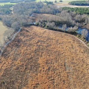 Photo of CLOSED!!  20 Acres of Farm and Hunting Land For Sale in Robeson County NC!