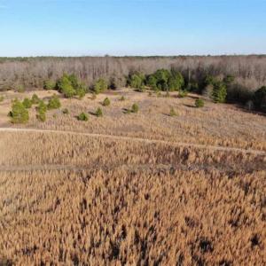 Photo of CLOSED!!  20 Acres of Farm and Hunting Land For Sale in Robeson County NC!