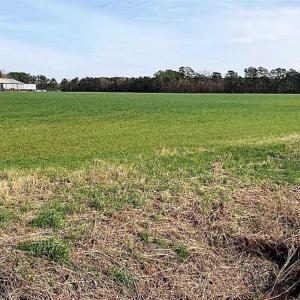 Photo of SOLD!!  10.14 Acres of Commercial Land For Sale in Beaufort County NC!