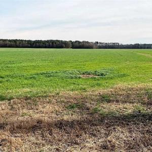 Photo of SOLD!!  23.1 Acres of Farm Land For Sale in Beaufort County NC!