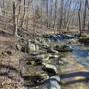 Photo of SOLD!! 37.31 Acres of Multi-Use Land For Sale in Person County NC!