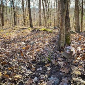 Photo of SOLD!! 37.31 Acres of Multi-Use Land For Sale in Person County NC!