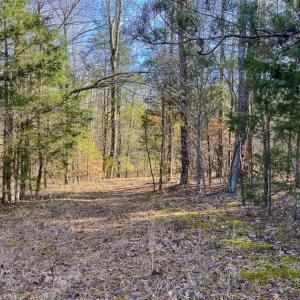 Photo of SOLD!! 37.31 Acres of Multi-Use Land For Sale in Person County NC!