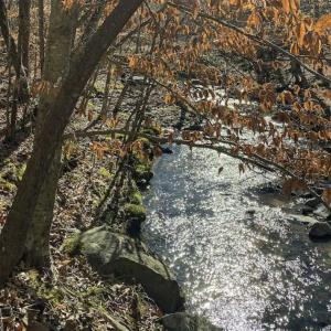 Photo of SOLD!! 37.31 Acres of Multi-Use Land For Sale in Person County NC!