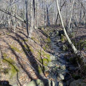 Photo of SOLD!! 37.31 Acres of Multi-Use Land For Sale in Person County NC!