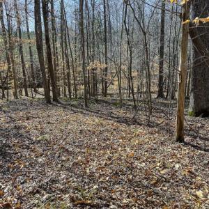 Photo of SOLD!! 37.31 Acres of Multi-Use Land For Sale in Person County NC!