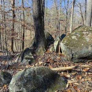 Photo of SOLD!! 37.31 Acres of Multi-Use Land For Sale in Person County NC!