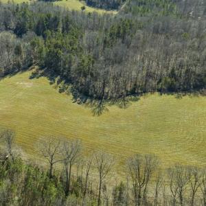 Photo of SOLD!! 37.31 Acres of Multi-Use Land For Sale in Person County NC!