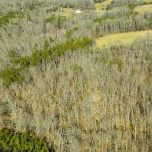 Photo of SOLD!! 37.31 Acres of Multi-Use Land For Sale in Person County NC!