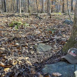 Photo of SOLD!! 37.31 Acres of Multi-Use Land For Sale in Person County NC!